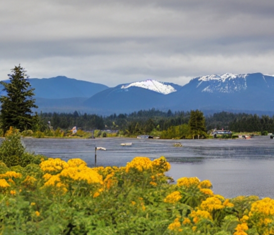 Where is the best place to live in Comox Valley?