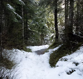 What are winters like in Comox?